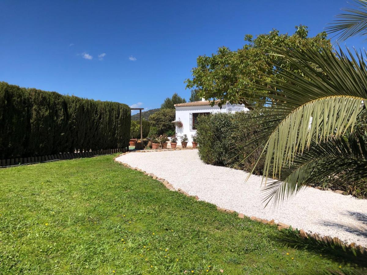 ビジャヌエバ・デ・タピア Casa La Alegria 37 Bed & Breakfast エクステリア 写真