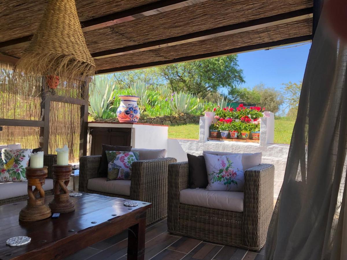 ビジャヌエバ・デ・タピア Casa La Alegria 37 Bed & Breakfast エクステリア 写真
