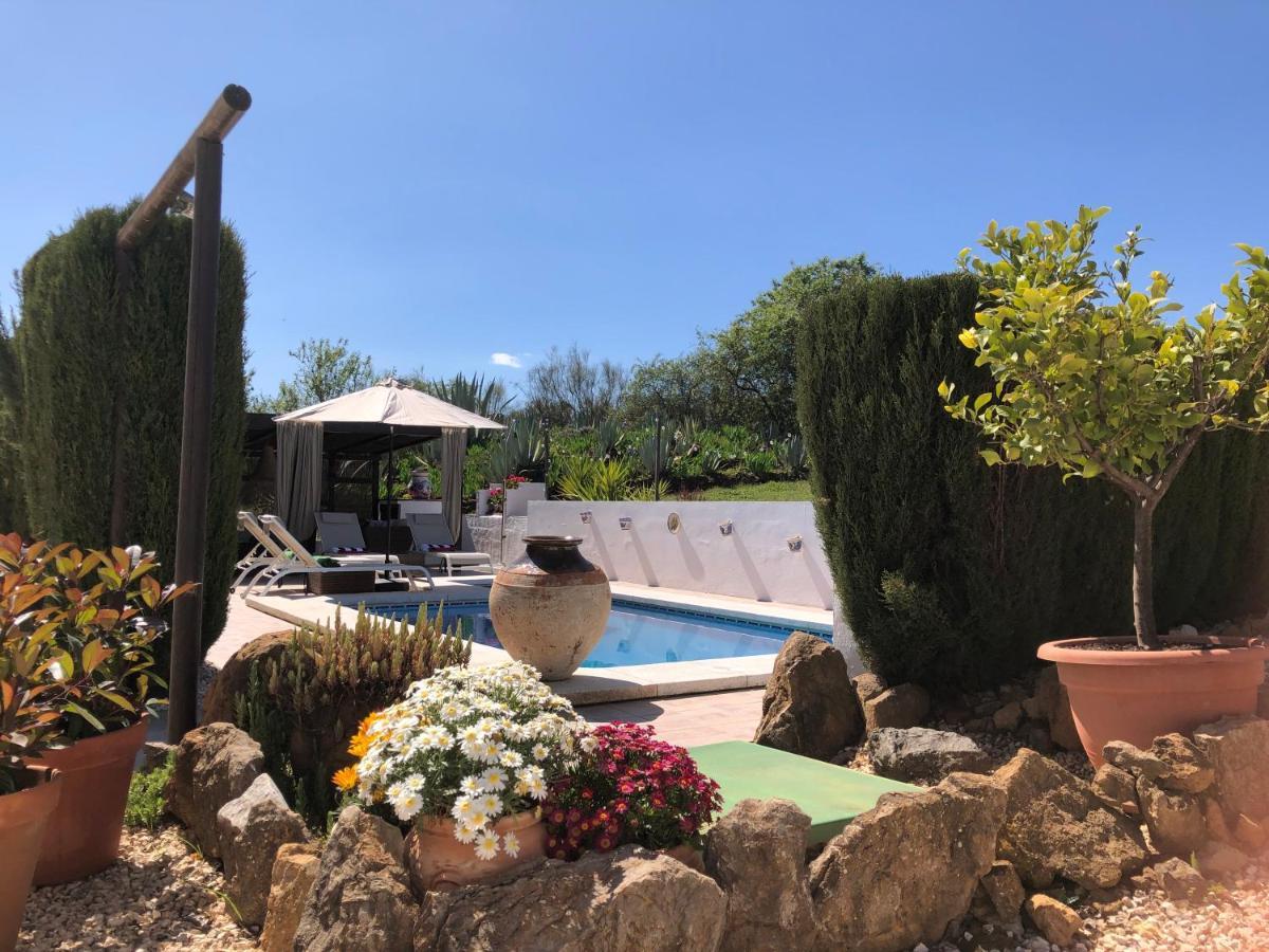 ビジャヌエバ・デ・タピア Casa La Alegria 37 Bed & Breakfast エクステリア 写真