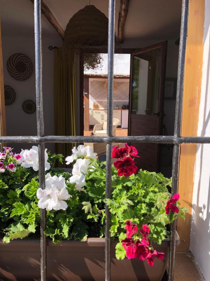 ビジャヌエバ・デ・タピア Casa La Alegria 37 Bed & Breakfast エクステリア 写真