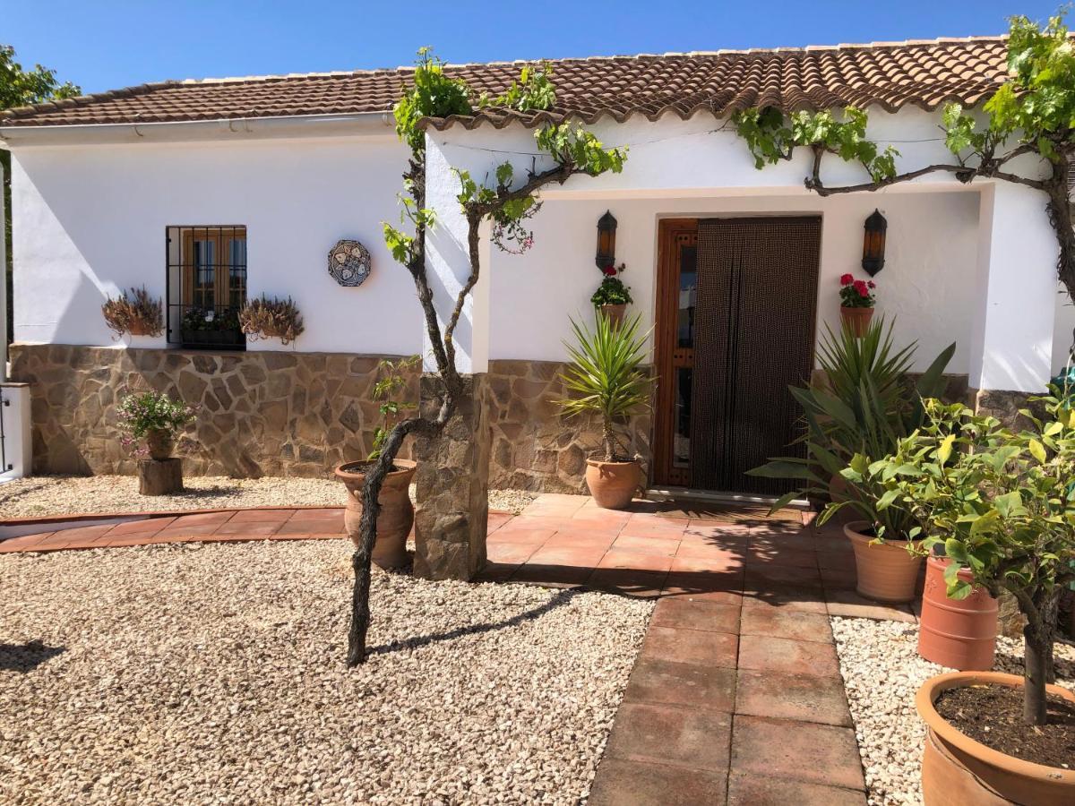 ビジャヌエバ・デ・タピア Casa La Alegria 37 Bed & Breakfast エクステリア 写真