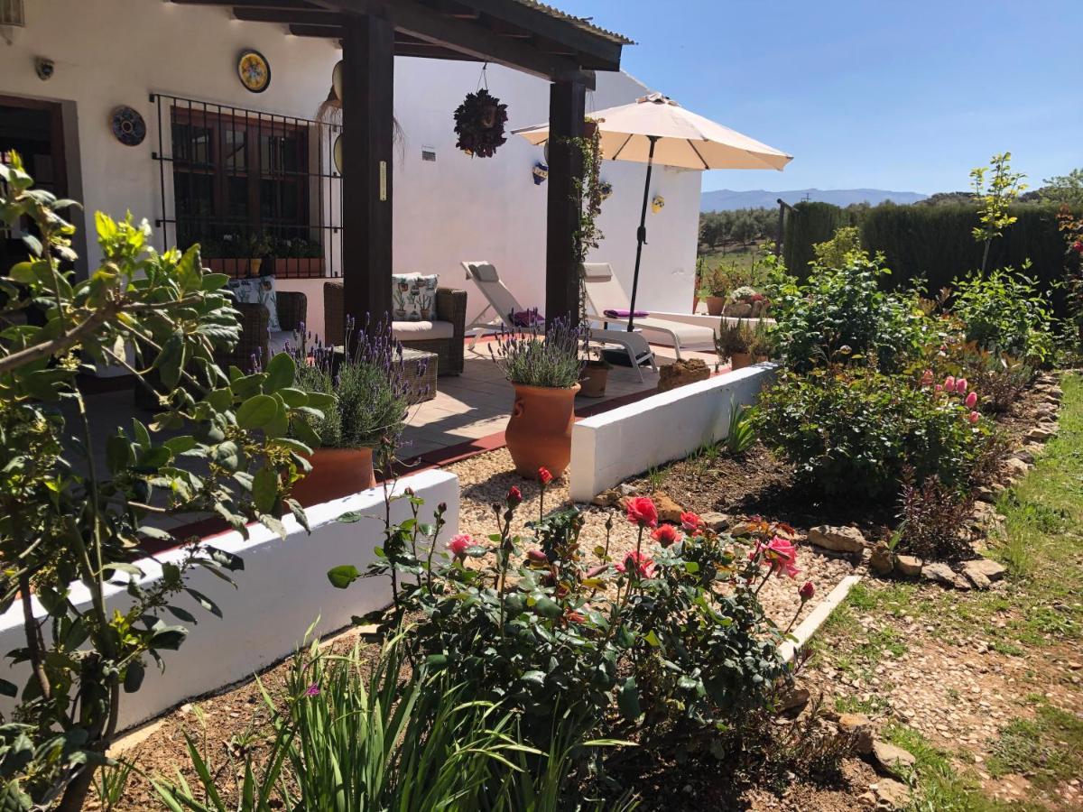 ビジャヌエバ・デ・タピア Casa La Alegria 37 Bed & Breakfast エクステリア 写真